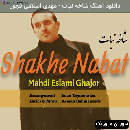 دانلود اهنگ شاخه نبات مهدی اسلامی قجور